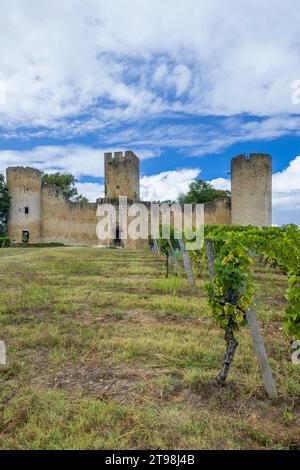 Burg Budos (Chateau de Budos) in der Weinregion Sauternes, Departement Gironde, Aquitaine, Frankreich Stockfoto