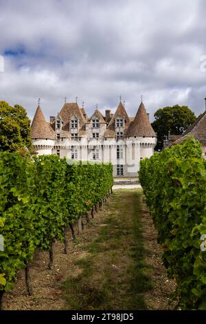 Schloss Monbazillac (Chateau de Monbazillac) mit Weinberg, Departement Dordogne, Aquitaine, Frankreich Stockfoto