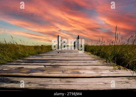 Holzbrücke in den Salzwiesen auf der Nordsee bei Sonnenuntergang Stockfoto