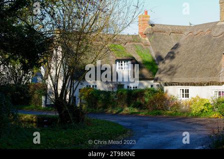 Herbst in England: Grüner Herbst Stockfoto