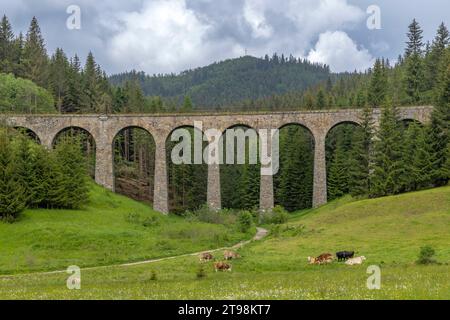 Eisenbahnbrücke Chramossky viadukt bei Telgart, Horehronie, Slowakei Stockfoto