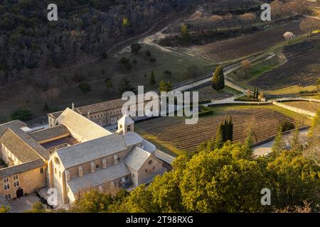 Abtei Senanque, Provence-Alpes-Cate d'Azur, Frankreich Stockfoto