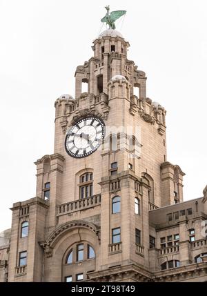 Liverpool, Großbritannien - 07. Oktober 2023 - Blick auf das Architekturdesign des Uhrenturms und des Lebervogels auf dem Historic The Royal Liver Building. Die Ro Stockfoto