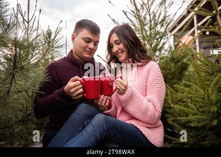 Liebespaare in Strickpullover sitzen zwischen grünen Kiefern, Tannen und Weihnachtsbaummarkt. Junger Mann und Frau trinken heißen Kakao aus roten Tassen mit Stockfoto