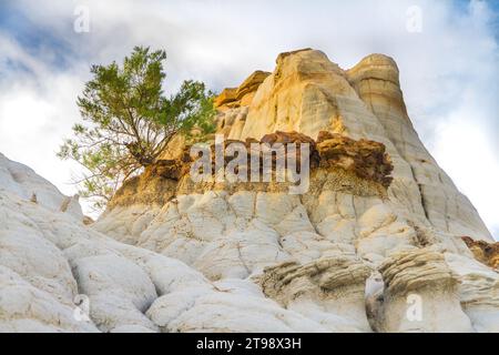 Auf der Seite eines SandsteinHoodoo in den Badlands ist ein kleiner Baum überlebt. Stockfoto