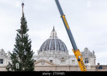 Rom, Italien. November 2023. Detail der Installation des Weihnachtsbaums in St. Peter's Square in Rom (Foto: Matteo Nardone/Pacific Press) Credit: Pacific Press Media Production Corp./Alamy Live News Stockfoto