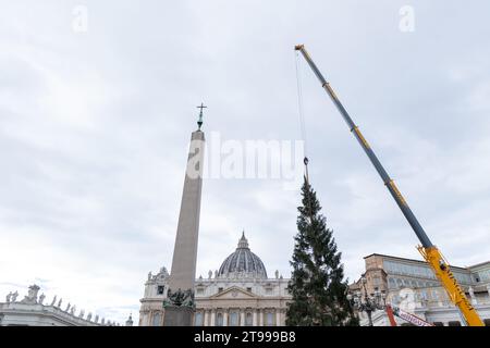 Rom, Italien. November 2023. Ansicht der Installation des Weihnachtsbaums in St. Peter's Square in Rom (Foto: Matteo Nardone/Pacific Press) Credit: Pacific Press Media Production Corp./Alamy Live News Stockfoto