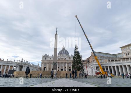 Rom, Italien. November 2023. Ansicht der Installation des Weihnachtsbaums in St. Peter's Square in Rom (Foto: Matteo Nardone/Pacific Press/SIPA USA) Credit: SIPA USA/Alamy Live News Stockfoto