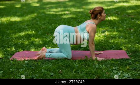 Schwangere weiße Frau, die Yoga im Park macht. Katzenkuh in Pose bringen. Stockfoto