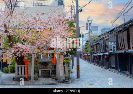 Kyoto, Japan - 6. April 2023: Tatsumi Daimyojin-Schrein in der Nähe der Tatsumu-Bashi-Brücke im Stadtteil Gion Stockfoto