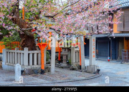 Kyoto, Japan - 6. April 2023: Tatsumi Daimyojin-Schrein in der Nähe der Tatsumu-Bashi-Brücke im Stadtteil Gion Stockfoto