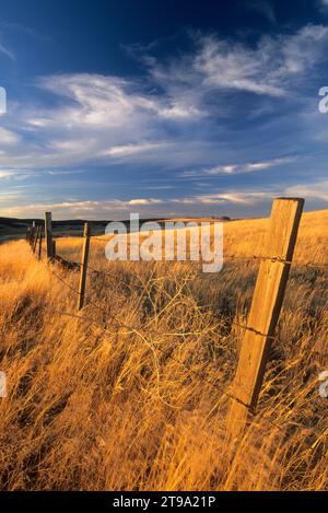 Ranchland, Wallowa County, Oregon Stockfoto