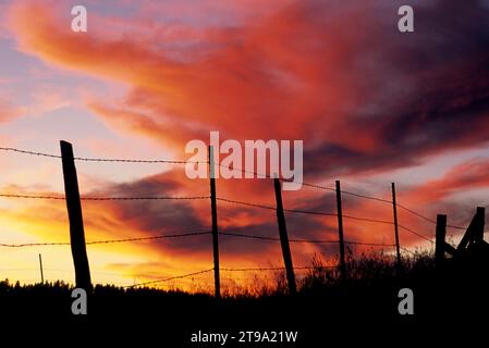 Ranchlandzaun Sonnenuntergang, Wallowa County, Oregon Stockfoto