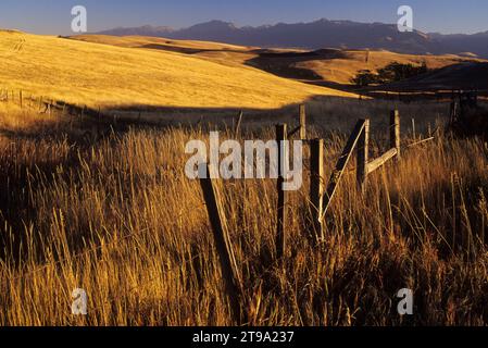 Ranchland nördlich von Joseph, Wallowa County, Oregon Stockfoto