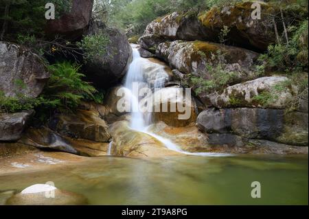 Ladies Bath Falls im Mt. Buffalo National Park, der in den Felspool darunter fällt Stockfoto