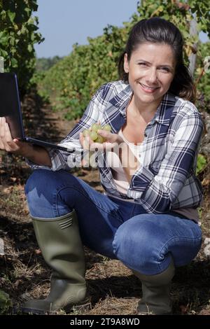 Frau, die pc gegen Pflanzen im Weinberg benutzt Stockfoto