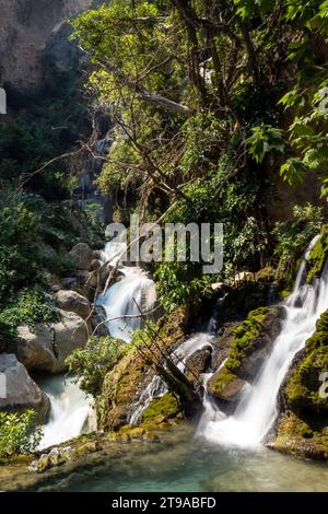 Erkunden Sie vielfältige Landschaften – von Bergflüssen bis zu üppigen Wäldern. Reisen Sie durch Wasserressourcen und natürliche Schönheit im bezaubernden Tolantongo Hidalgo Stockfoto