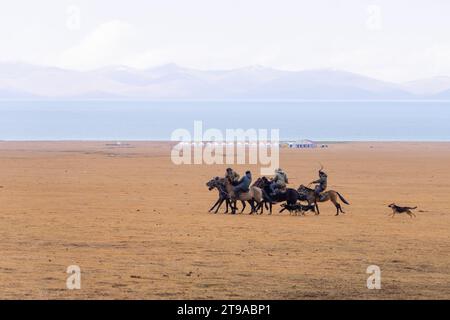 Buzkashi (Ziegenziehen) ist der Nationalsport Afghanistans. Es ist ein traditioneller Sport, bei dem Pferdespieler versuchen, eine Ziege oder ein Kalb zu platzieren Stockfoto