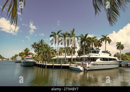 Blick auf den Hafen mit Yachten am Meer im Sommer. Sommerziel am Meer mit Booten und Palmen im Hafen. Der Hafen am Meer ist perfekt Stockfoto