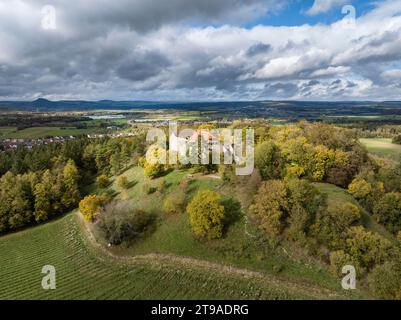 Luftaufnahme der Burg Friedingen, Friedinger Schloessle oder Hohenfriedingen in Hegau, Landkreis Konstanz, Baden-Württemberg Stockfoto