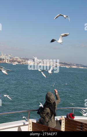 Möwen fliegen in den Himmel über das Meerwasser Stockfoto