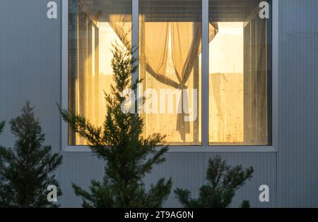 Golden Hour, Sonnenuntergang. Windows-Rahmen. Goldene Farbe der Sonne. Immergrüne Bäume, im Vordergrund als Dekoration. Graue Wand, Hintergrund. Stockfoto