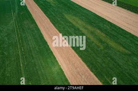 Drohnenansicht von grünen und abgeernteten Feldern, Landwirtschaftslandschaft, Deutschkreutz, Blaufraenkischland, Burgenland, Österreich Stockfoto