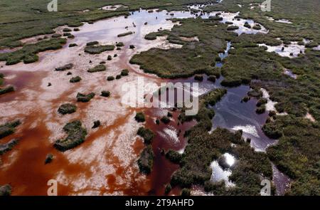 Drohnenbild, Nationalpark Neusiedler See, Illmitz, Neusiedler See, Seewinkel, Burgenland, Österreich Stockfoto