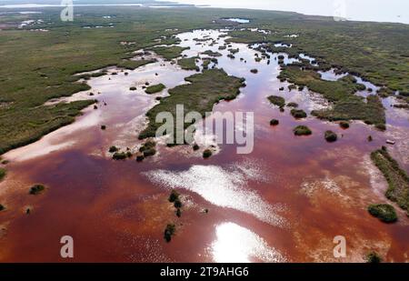 Drohnenbild, Nationalpark Neusiedler See, Illmitz, Neusiedler See, Seewinkel, Burgenland, Österreich Stockfoto