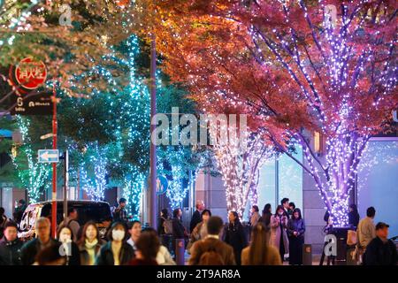 Tokio, Japan. November 2023. Die Menschen genießen die Weihnachtsdekoration vor der Tokyo Hibiya Midtown in Tokio. In diesem Jahr werden 1,2 Millionen Champagner-Lichter verwendet, um Marunouchis Nakadori-Straße zu beleuchten, einer der beliebtesten Leuchtpunkte in Tokio während der Weihnachtszeit. Die Beleuchtung findet bis Mitte Februar statt. (Kreditbild: © Rodrigo Reyes Marin/ZUMA Press Wire) NUR REDAKTIONELLE VERWENDUNG! Nicht für kommerzielle ZWECKE! Stockfoto
