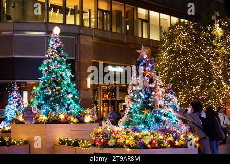 Tokio, Japan. November 2023. Die Menschen genießen die Weihnachtsdekoration vor der Tokyo Hibiya Midtown in Tokio. In diesem Jahr werden 1,2 Millionen Champagner-Lichter verwendet, um Marunouchis Nakadori-Straße zu beleuchten, einer der beliebtesten Leuchtpunkte in Tokio während der Weihnachtszeit. Die Beleuchtung findet bis Mitte Februar statt. (Kreditbild: © Rodrigo Reyes Marin/ZUMA Press Wire) NUR REDAKTIONELLE VERWENDUNG! Nicht für kommerzielle ZWECKE! Stockfoto