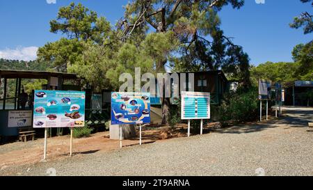 DALYAN, TÜRKEI - 15.07.2023: Behandlungszentrum für verletzte Caretta Caretta-Meeresschildkröten. 'Dekamer' Schildkrötenkrankenhaus. Die Arbeit von Captain June, dem Gauner Stockfoto