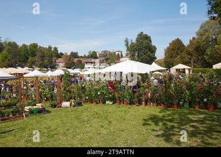 CARAVINO, ITALIEN - 28. APRIL 2023: Menschen, die im Frühjahr während der Messe Tre Giorni per il Giardino auf der Burg Masino in der Nähe von Turin Pflanzen und Blumen suchen, Stockfoto