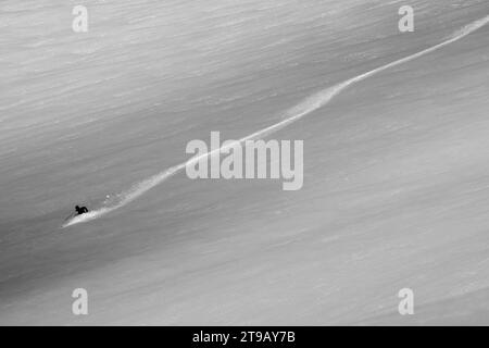 Schwarz-weiß-Bild eines männlichen Skifahrers, der frische Kurven im Hinterland macht. Stockfoto