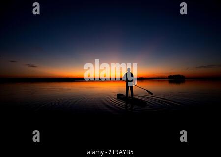 Silhouette eines Mannes Stand Up Paddleboarding bei Sonnenuntergang mit Bäumen, die sich im Wasser spiegeln. Stockfoto