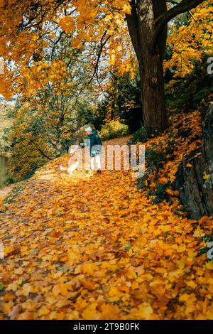 Junge spielt mit einem Corgi-Hund im Herbst auf einer Gasse im Park Stockfoto