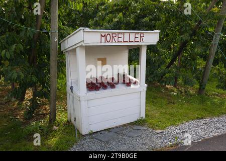 Selbstbedienungsstand in der Region Hardanger in Norwegen. Stockfoto