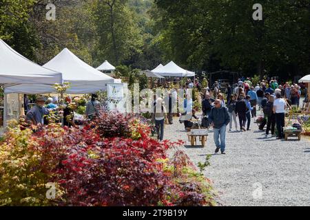 CARAVINO, ITALIEN - 28. APRIL 2023: Menschen, die im Frühjahr während der Messe Tre Giorni per il Giardino auf der Burg Masino in der Nähe von Turin Pflanzen und Blumen suchen, Stockfoto