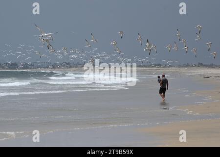 San Diego, KALIFORNIEN, USA - 30. Juli 2023: Menschen in Border Field State Park Beach in San Diego, Kalifornien. Stockfoto