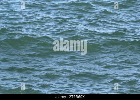 Wellen auf der Meeresoberfläche Stockfoto