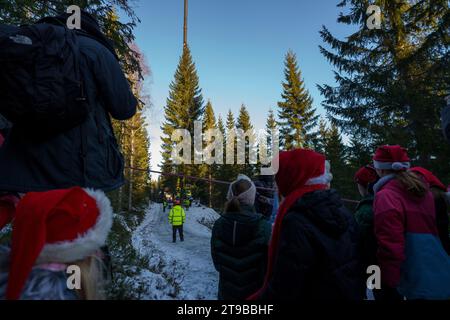 Oslo 20231124.Oberbürgermeisterin Anne Lindboe, Oberbürgermeisterin von Westminster, Stadträtin Patricia McAllister und der britische Botschafter in Norwegen, Jan Thompson, während des Holzschlags des diesjährigen Weihnachtsbaums in London. In diesem Jahr wurde der Baum in Soerkedalen gefällt. Die Tradition, einen Weihnachtsbaum nach London zu schicken, reicht bis ins Jahr 1947 zurück und war ursprünglich ein Dankeschön für die Hilfe und Unterstützung, die Norwegen während des Zweiten Weltkriegs erhielt. Foto: Cornelius Poppe / NTB Stockfoto