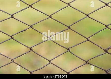 Gitterkäfig im Garten mit grünem Gras als Hintergrund. Metallzaun mit Drahtgeflecht. Verschwommener Blick auf die Landschaft durch ein Stahlgittermetall fe Stockfoto