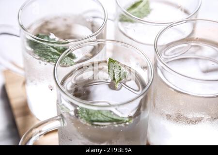 Gefiltertes Wasser mit Minzblättern, ein einfaches Körperentgiftungswasser, das zu Hause zubereitet werden kann Stockfoto