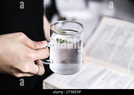 Gefiltertes Wasser mit Minzblättern, ein einfaches Körperentgiftungswasser, das zu Hause zubereitet werden kann Stockfoto