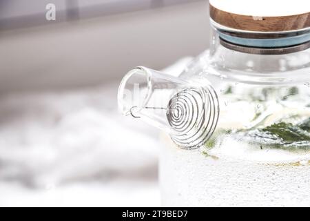 Gefiltertes Wasser mit Minzblättern, ein einfaches Körperentgiftungswasser, das zu Hause zubereitet werden kann Stockfoto