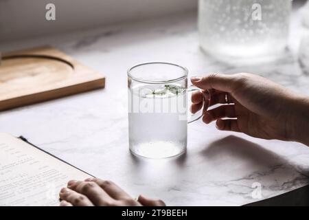 Gefiltertes Wasser mit Minzblättern, ein einfaches Körperentgiftungswasser, das zu Hause zubereitet werden kann Stockfoto