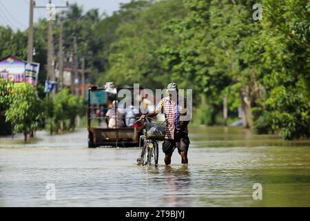 Colombo, Sri Lanka. November 2023. Ein Mann geht durch eine überflutete Straße in Gampaha, Sri Lanka, 24. November 2023. Mehr als 5.000 Menschen, die mehr als 1.400 Familien angehören, sind nach wie vor von wetterbedingten Katastrophen in Sri Lanka betroffen, teilte das Disaster Management Center (DMC) am Freitag in einem Bericht mit. Quelle: Ajith Perera/Xinhua/Alamy Live News Stockfoto