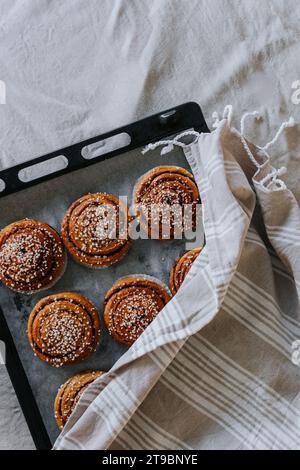 Hochwinkelansicht von gebackenen Zimtbrötchen auf Backblech Stockfoto