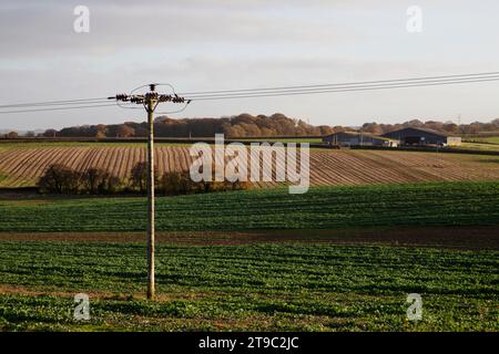 Elektrischer Pylon in der Nähe des Dorfes Clyst St George in Exeter, Großbritannien Stockfoto