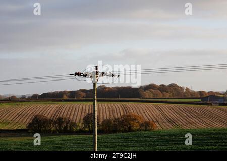 Elektrischer Pylon in der Nähe des Dorfes Clyst St George in Exeter, Großbritannien Stockfoto